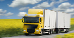 transporte